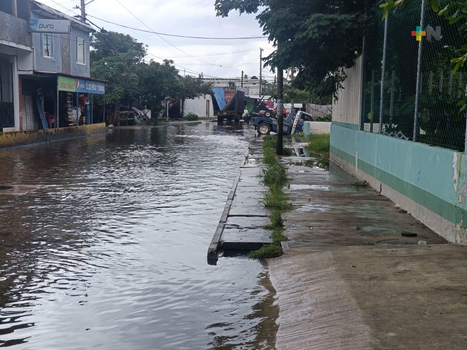 Lluvias dejan anegaciones y un árbol caído en Coatzacoalcos
