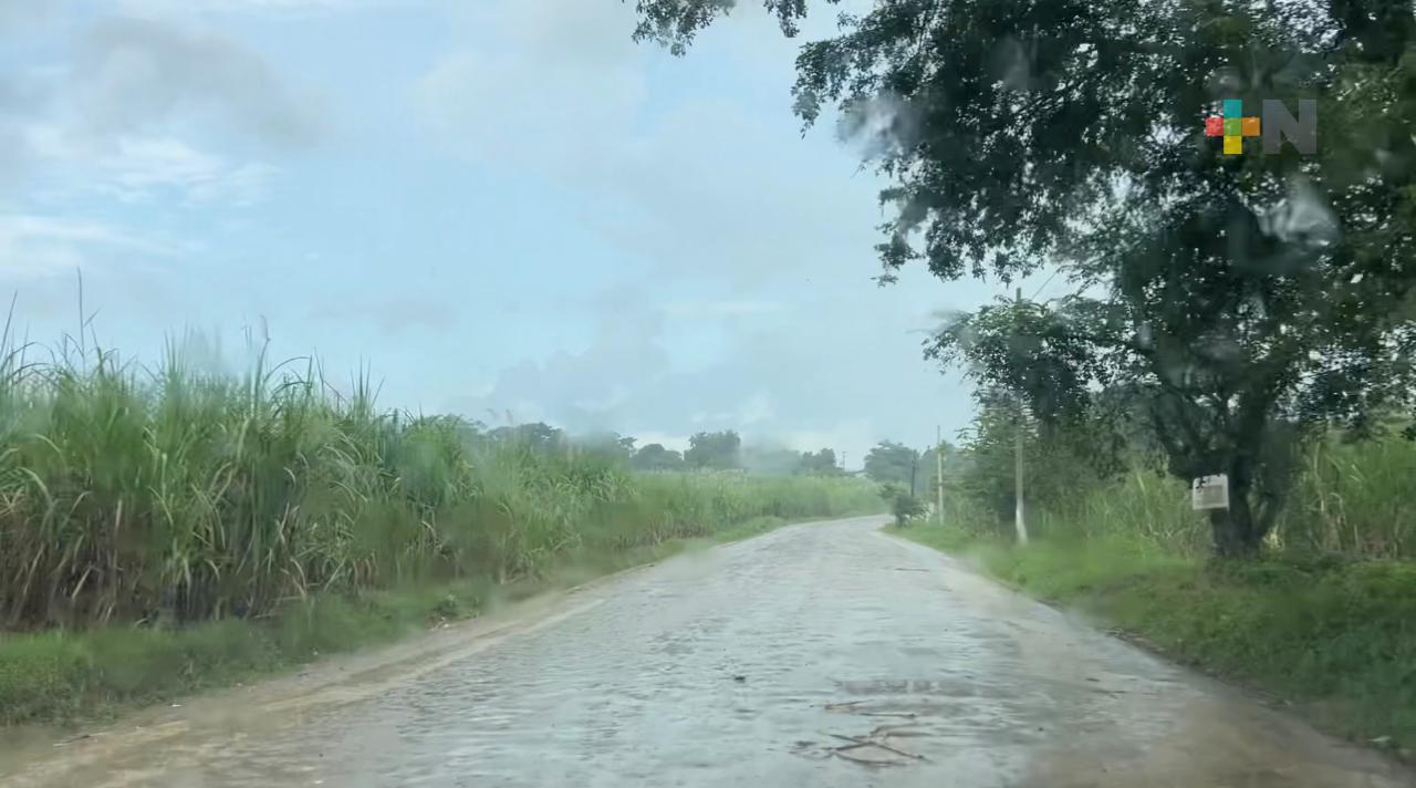 Lluvias postergan el arranque de la zafra 2025–2026