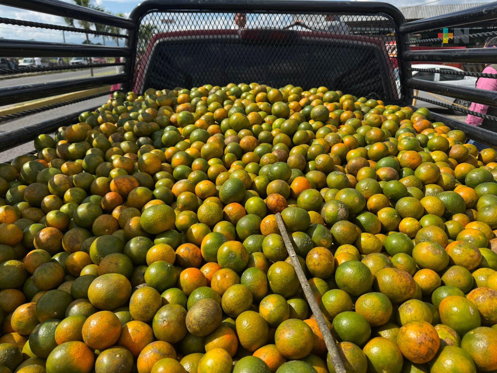Mandarina Farchi se cotiza a excelente precio en Martínez de la Torre