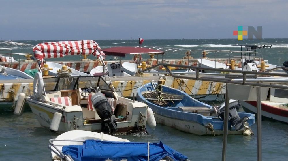 Bajos costos en productos obligan a pescadores a buscar otras actividades económicas