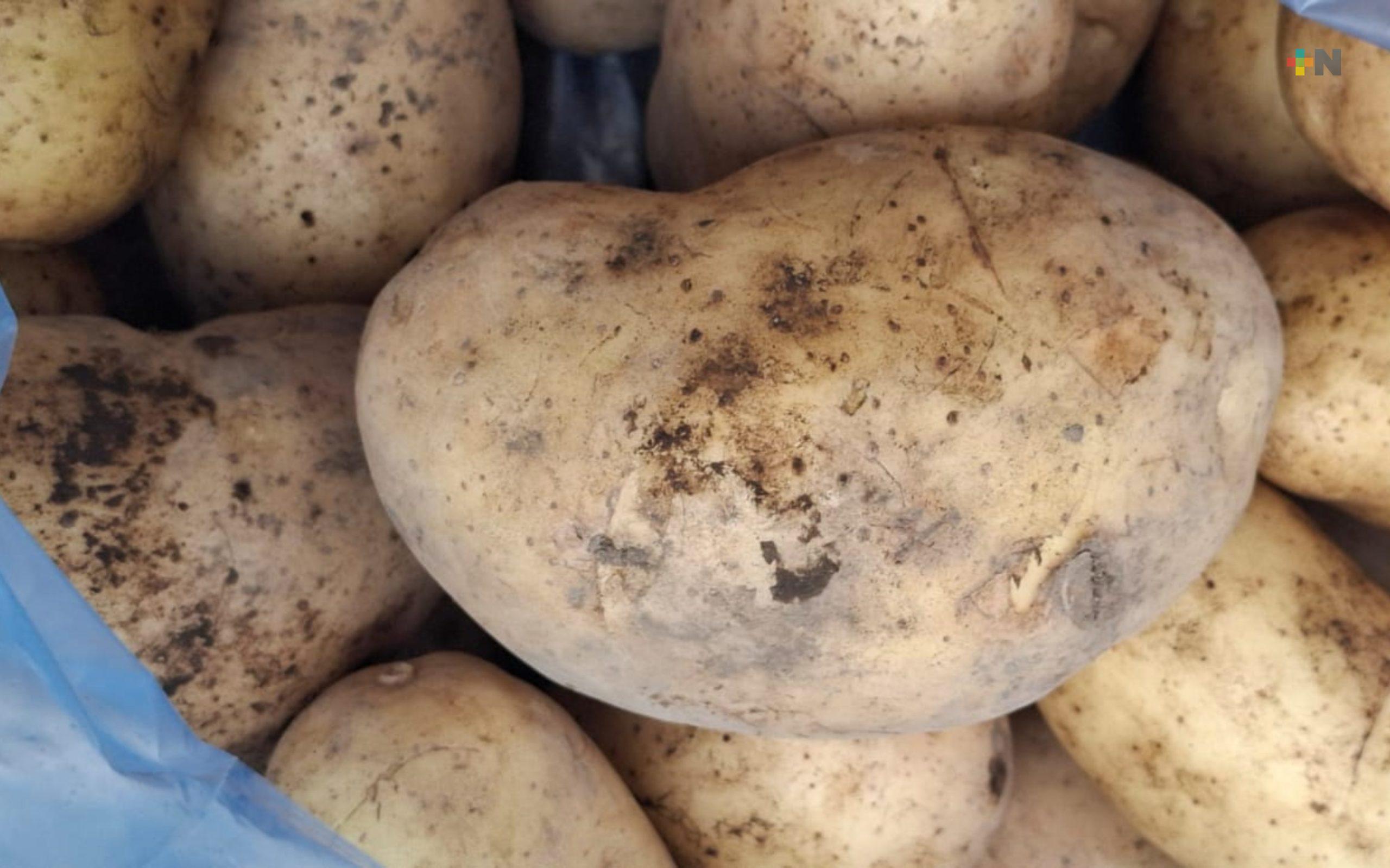 En Los Pescados, Perote, apuestan por producir papa sin agrotóxicos