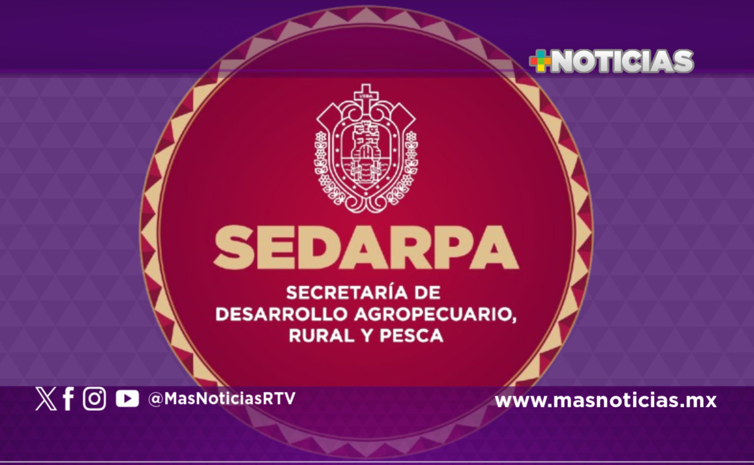Censadas siete mil hectáreas afectadas de cultivos en la zona norte