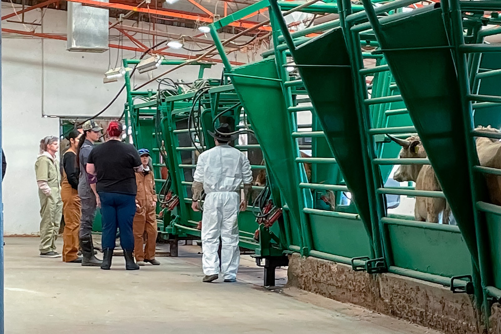 Senasica rechaza mil 65 cargamentos en 2025