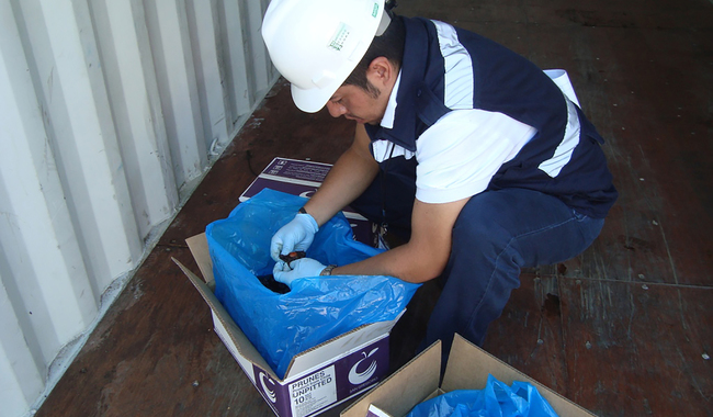 Senasica rechaza mil 65 cargamentos para proteger a México de plagas y enfermedades de otros países