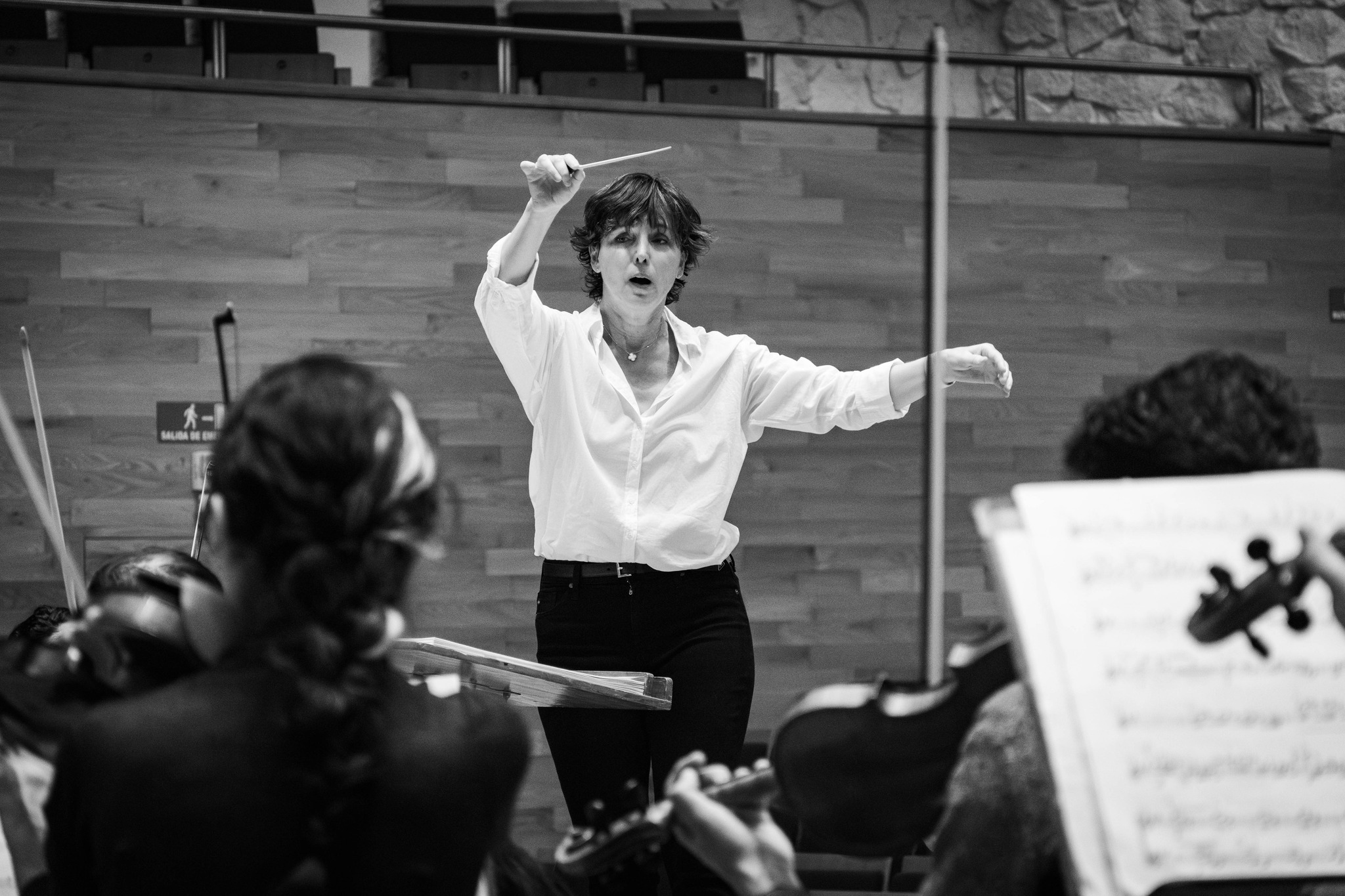 Mendelssohn y Mozart en el próximo concierto de la Orquesta Sinfónica de Xalapa