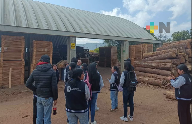 Estudiantes del Tecnológico de Chicontepec participan en taller forestal
