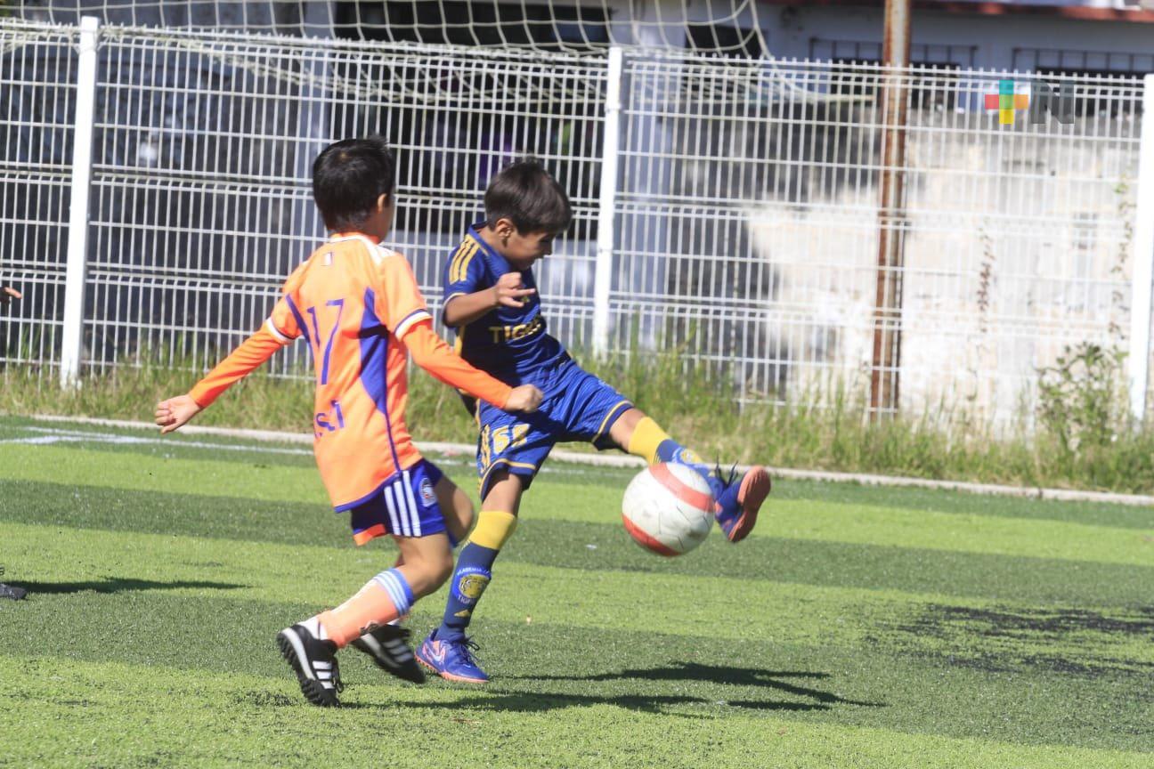 Tigres Xalapa es observado por reclutadores de equipos de la Liga MX