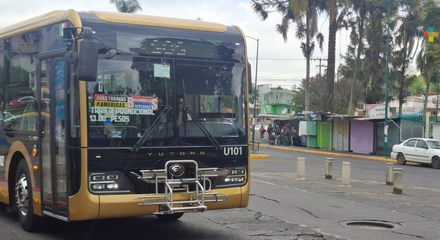 Continuarán pruebas de autobuses Ulúa para dar servicio en Xalapa