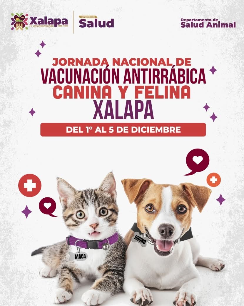 Inicia en Xalapa jornada de vacunación antirrábica para mascotas