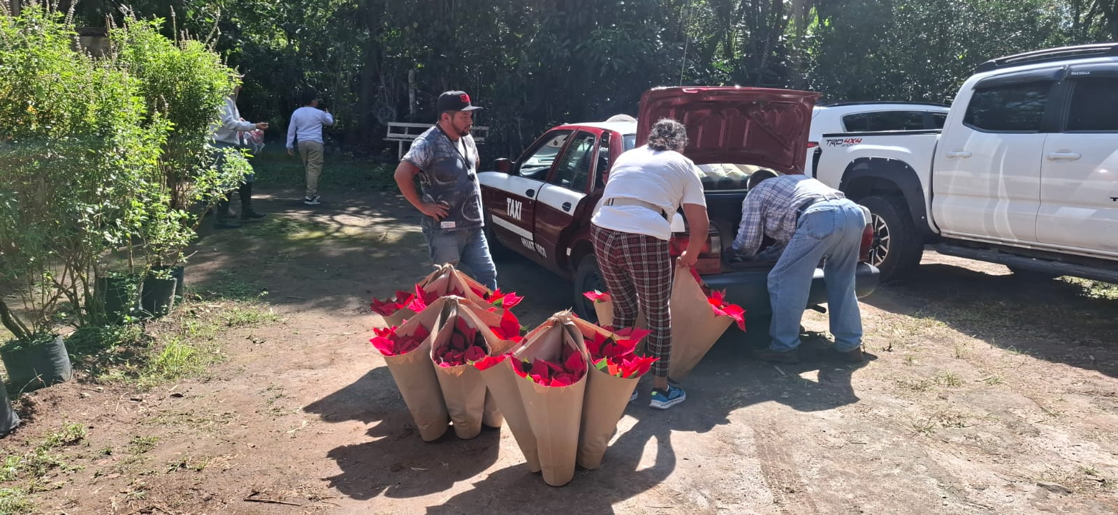 Visitantes de todo el país llegan a La Estanzuela por sus nochebuenas