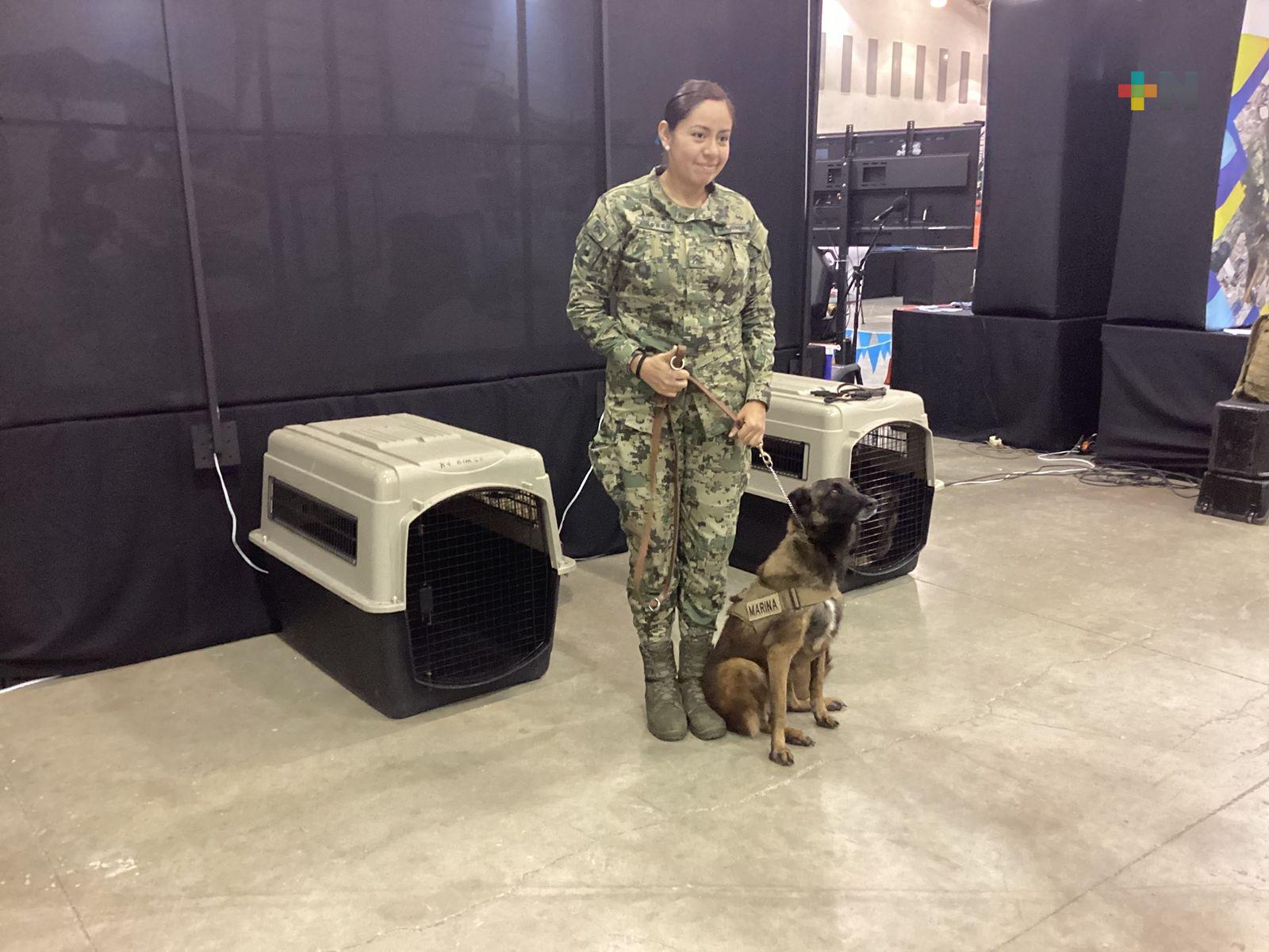Binomios caninos de la Marina sorprenden en Expomar