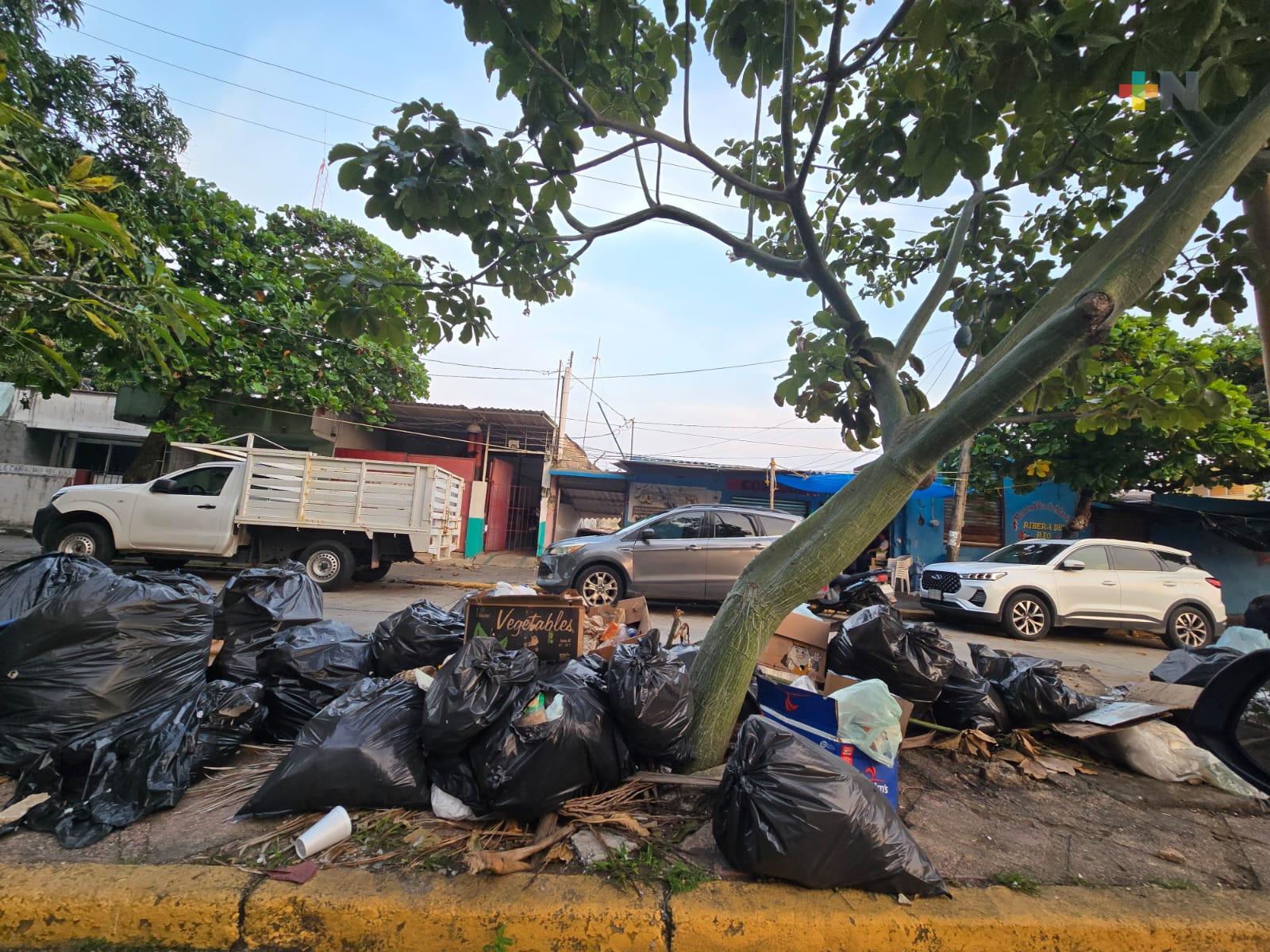 Hasta el jueves se restablecerá el servicio de recolección de basura