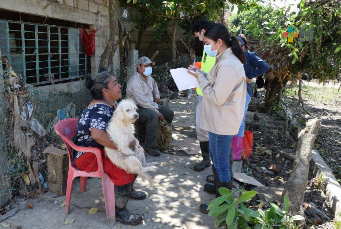Sedema continúa brindando atención veterinaria en el norte de Veracruz