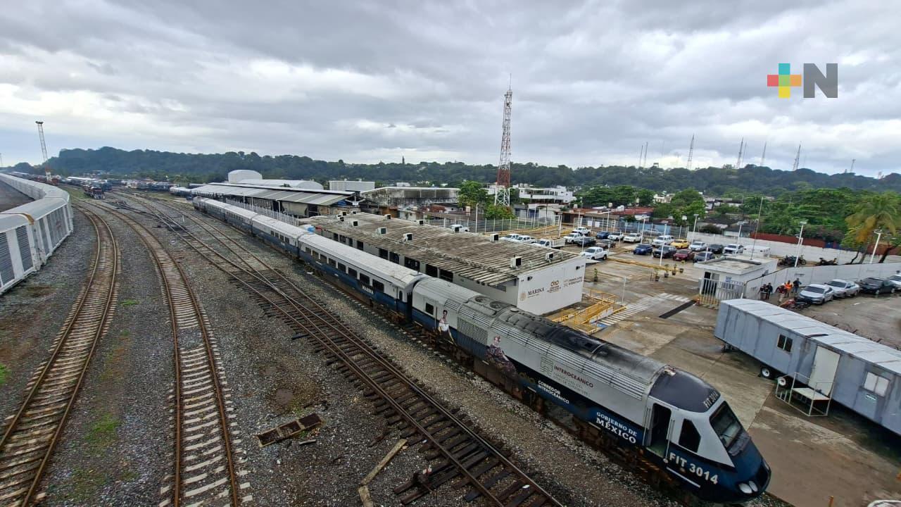 El Tren Interoceánico permite viajar con mascotas