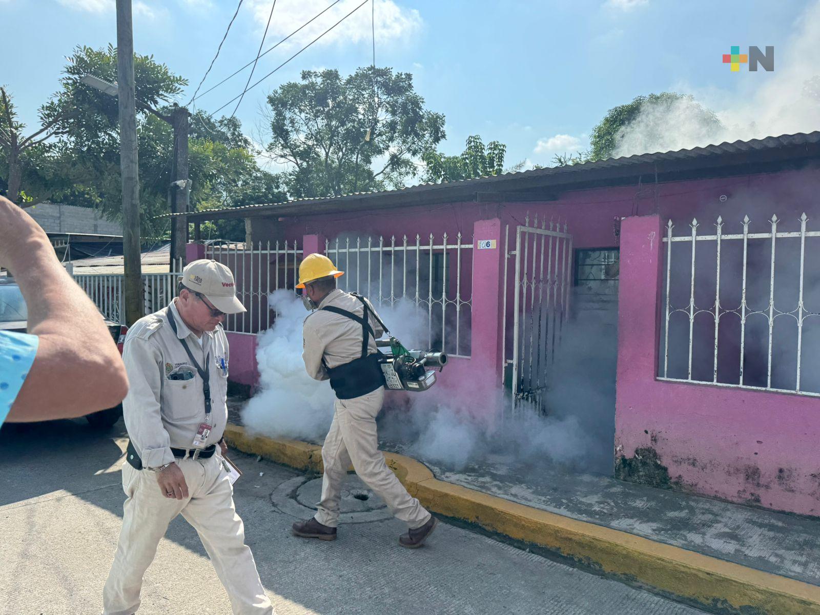 Se realizan acciones para combatir a mosquitos transmisores de enfermedades