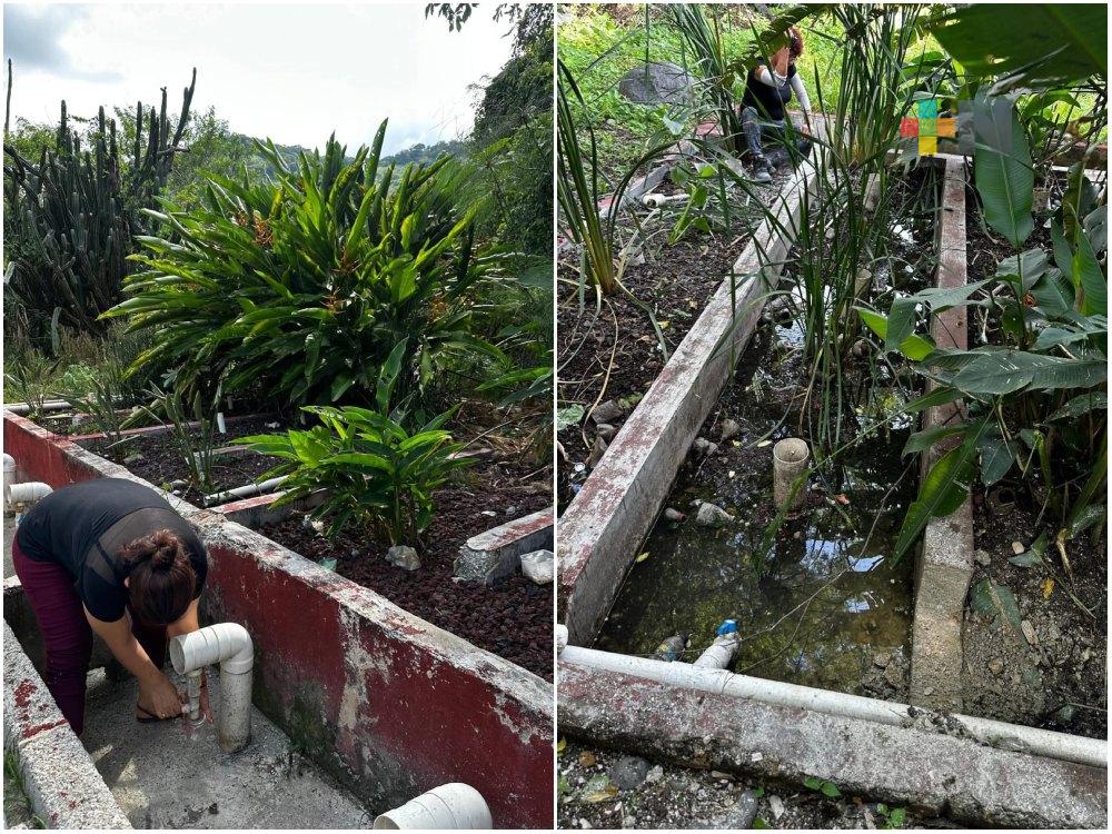 Comunidad de Actopan, un ejemplo del uso de ecotecnias para tratar agua contaminada