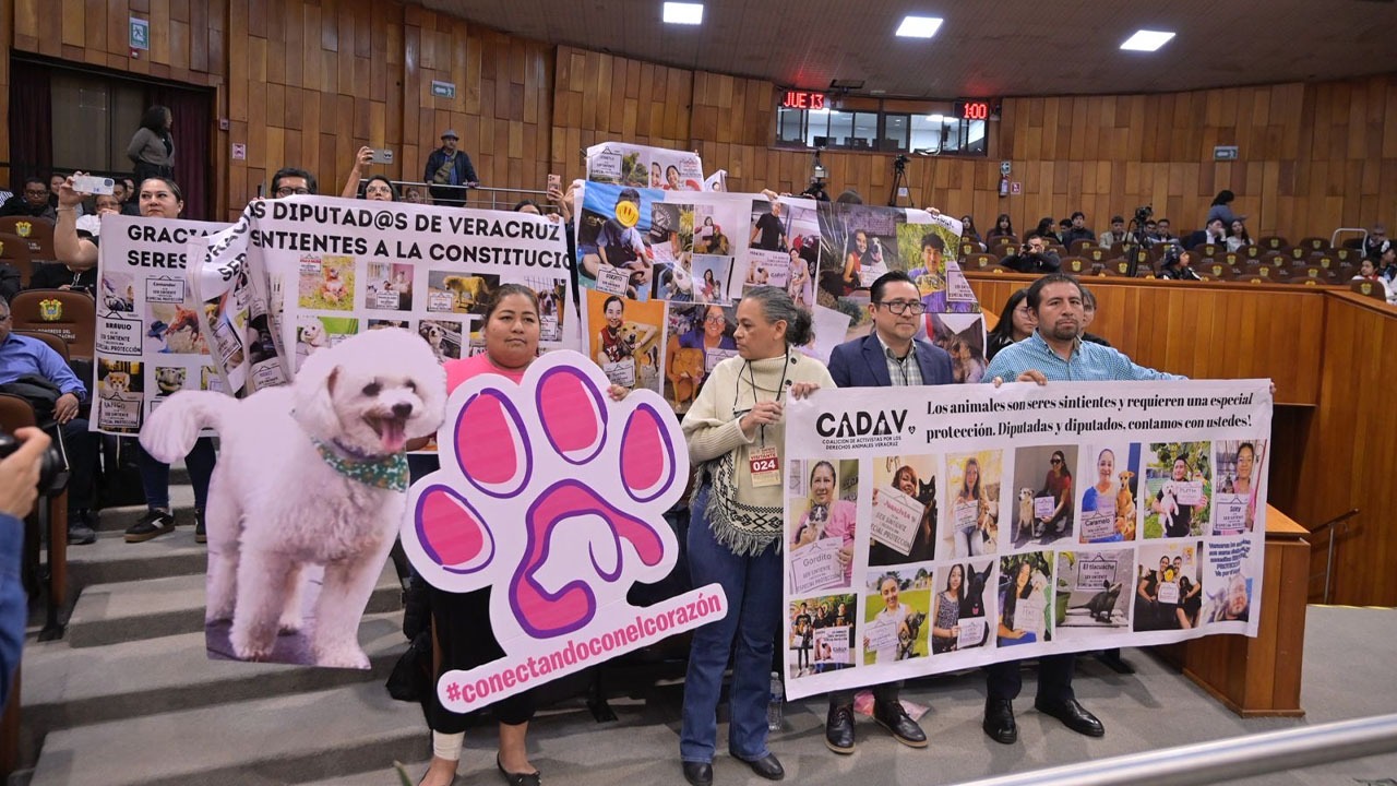 Reforma en Veracruz para proteger a los animales