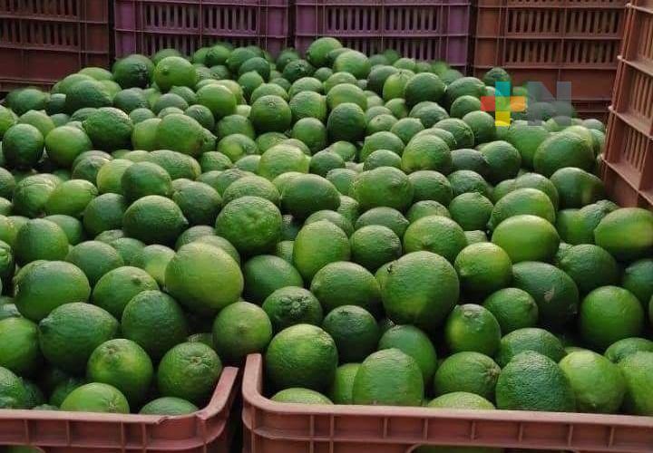 Precios de cítricos se mantienen a la baja