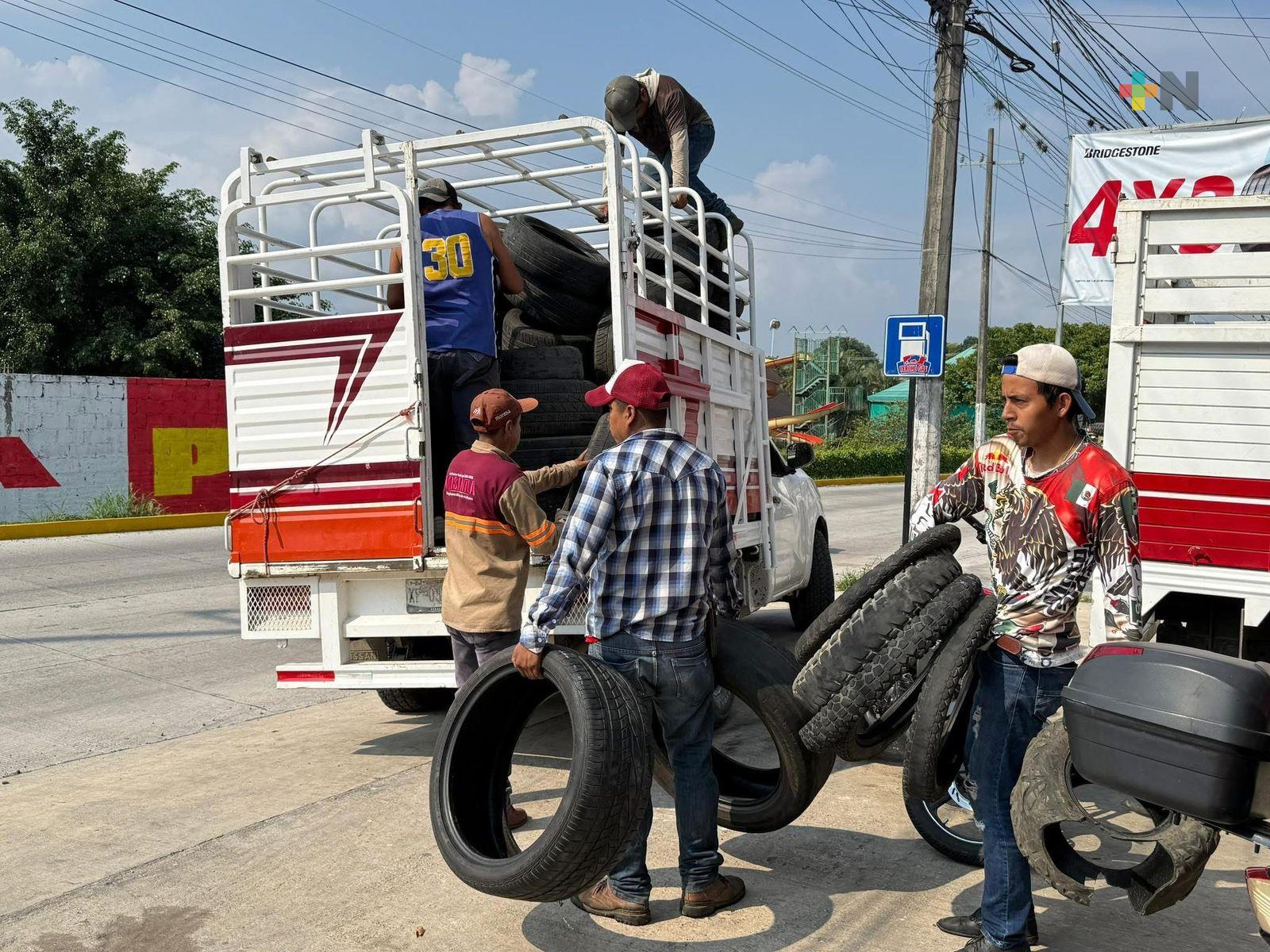 En Misantla trabajan permanente en la recolección de llantas viejas e inservibles