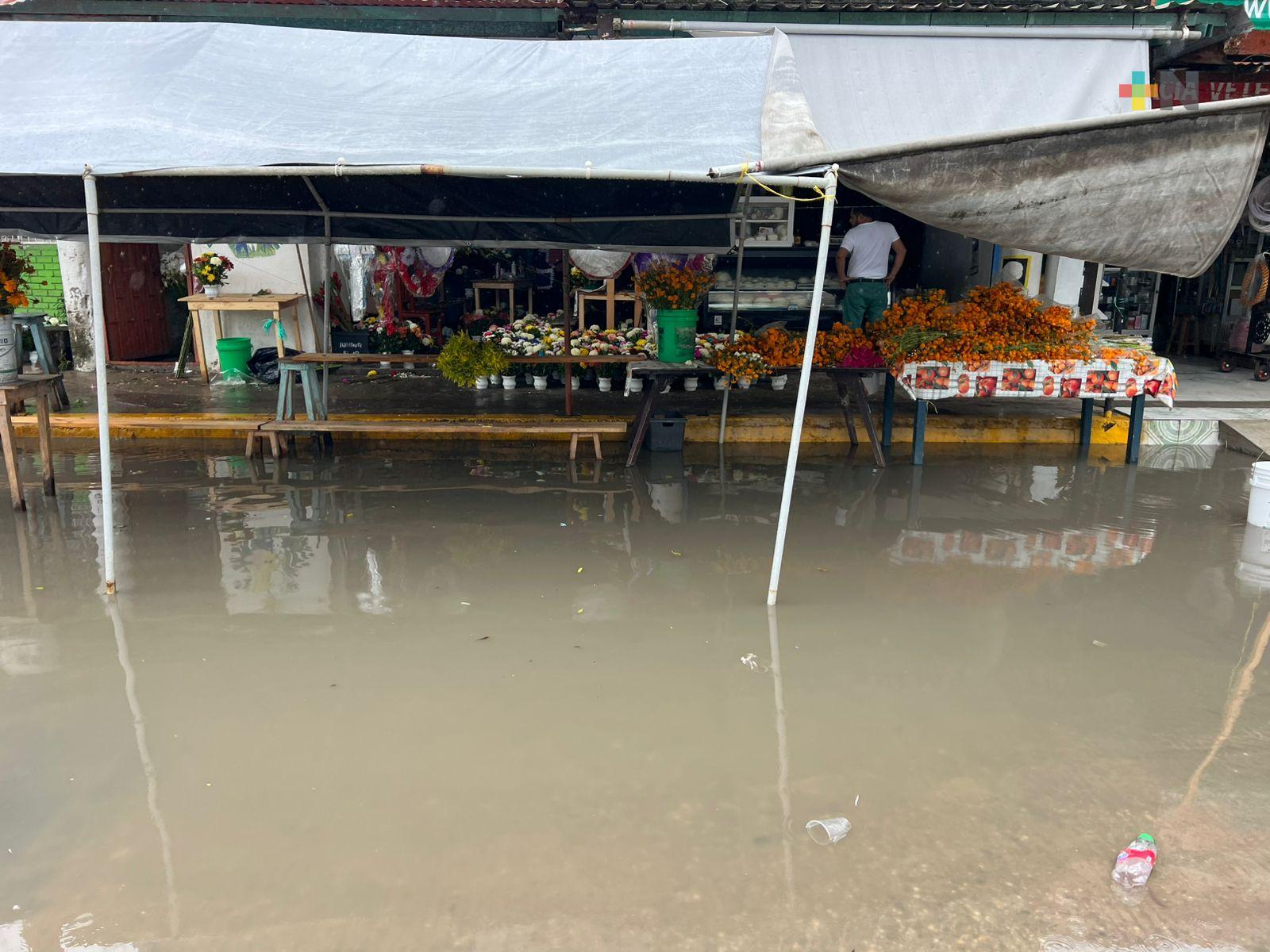 Lluvias opacaron Día de Muertos, baja afluencia en panteones
