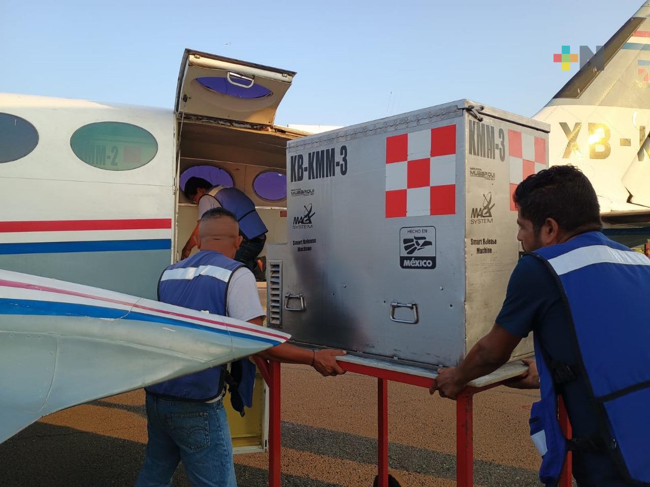 Abren planta de moscas estériles en Tampico, Tamaulipas