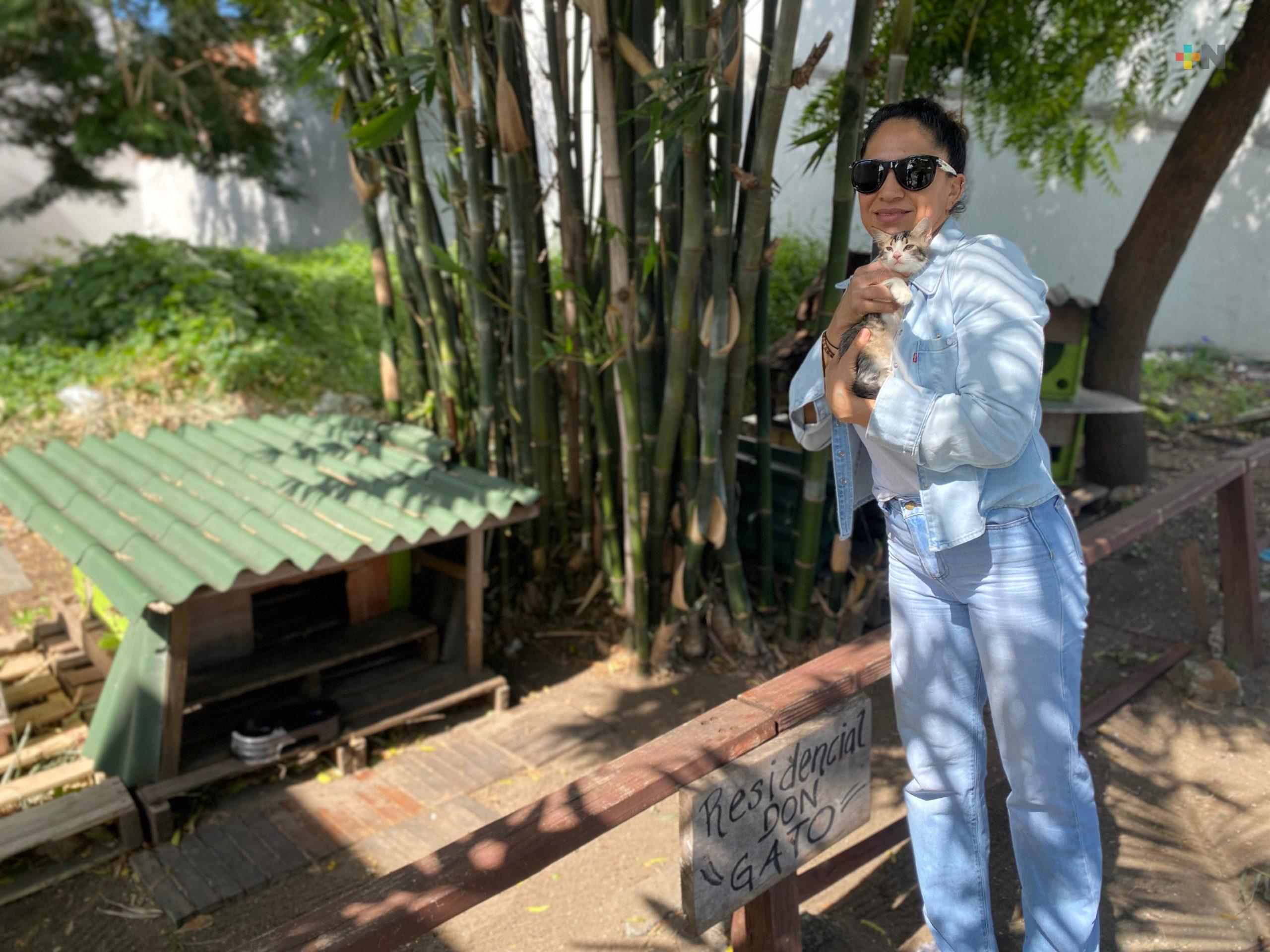 Residencial Don Gato existe gracias a la solidaridad vecinal