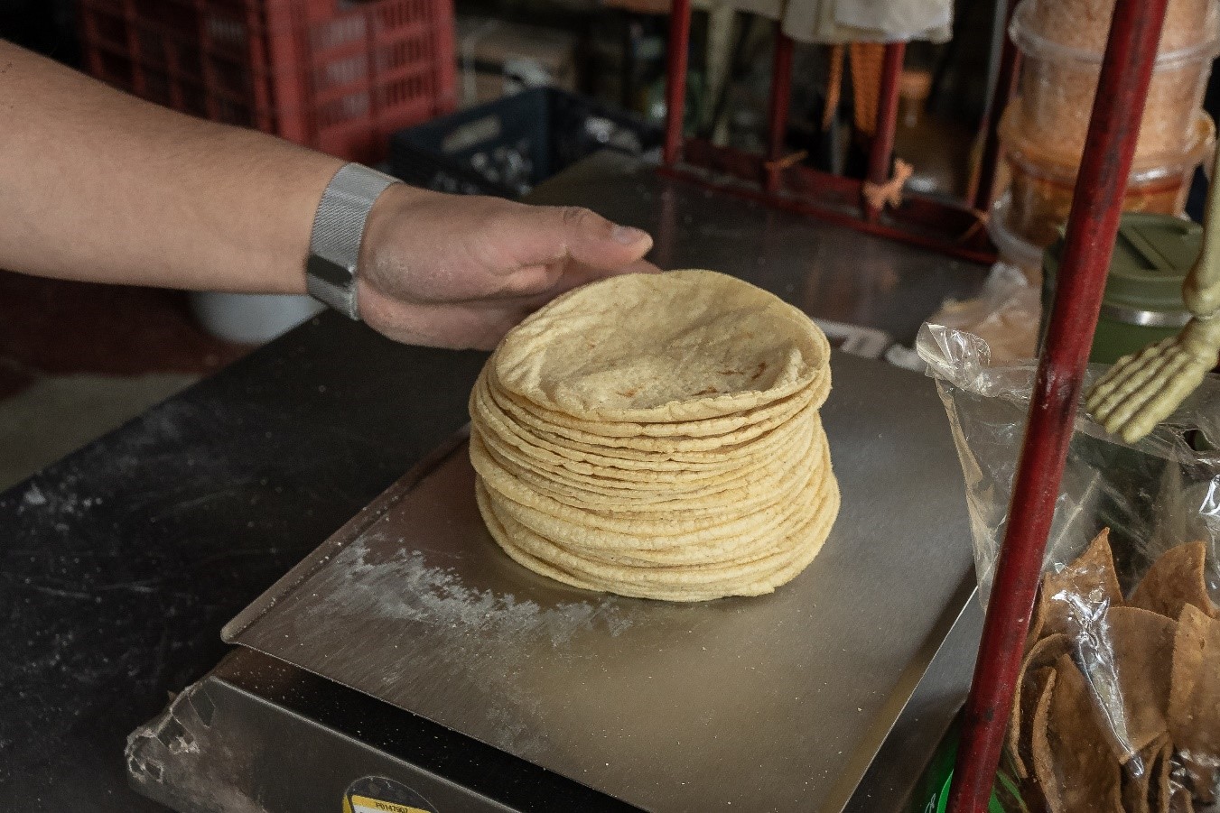 Si tienes tortillería participa en el Acuerdo Nacional Maíz–Tortilla