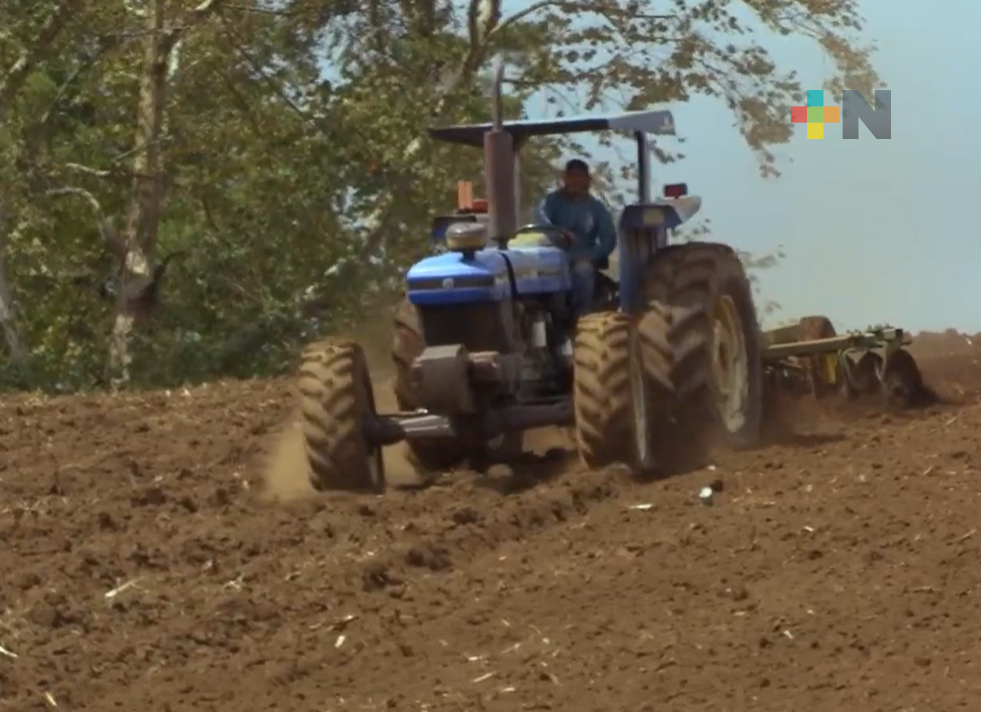 Legisladores propondrán iniciativas para regular uso intensivo de agrotóxicos en Veracruz