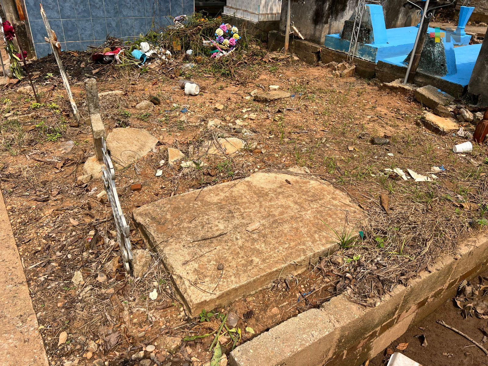 Tumbas que el tiempo olvidó; la naturaleza se convirtió en su única ofrenda