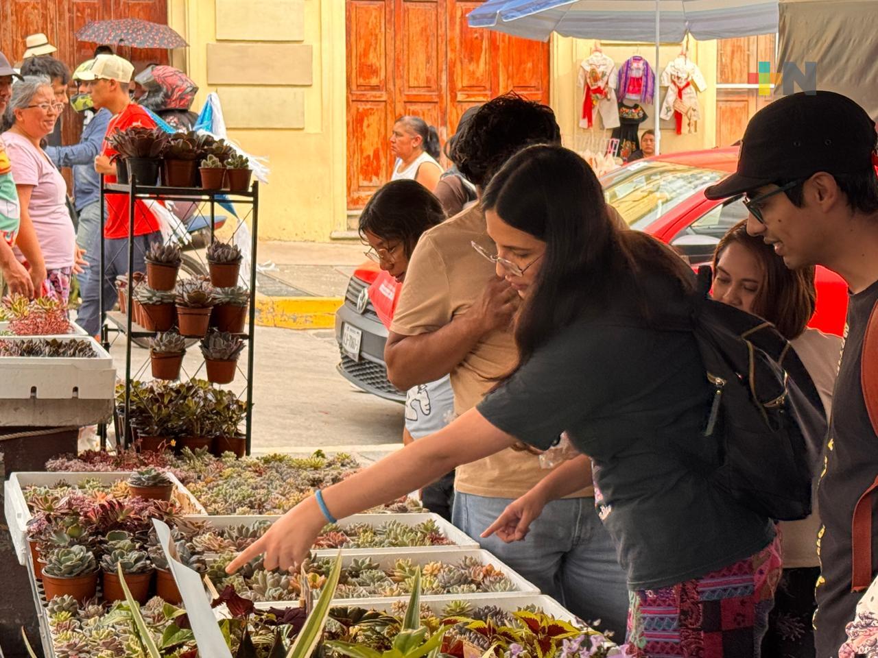 Plantas, la nueva responsabilidad de los jóvenes