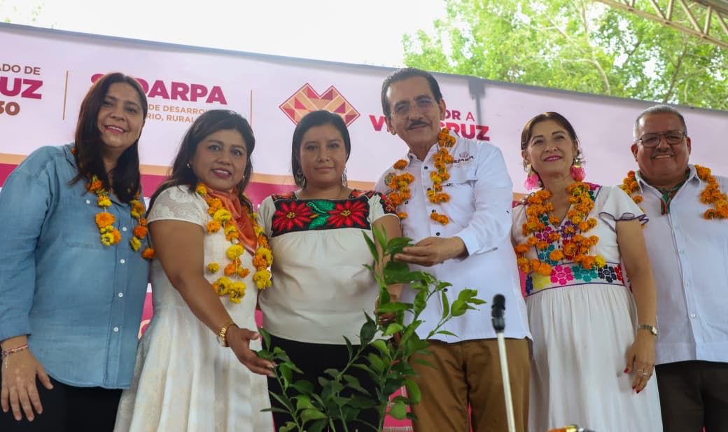 Gobierno de Veracruz invierte en la recuperación del sector primario tras las inundaciones en la zona norte