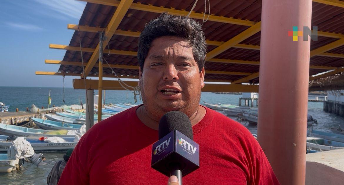Norte frena pesca en Veracruz, pero pescadores confían en cierre positivo de año