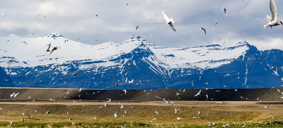 El Ártico se acerca a un punto crítico