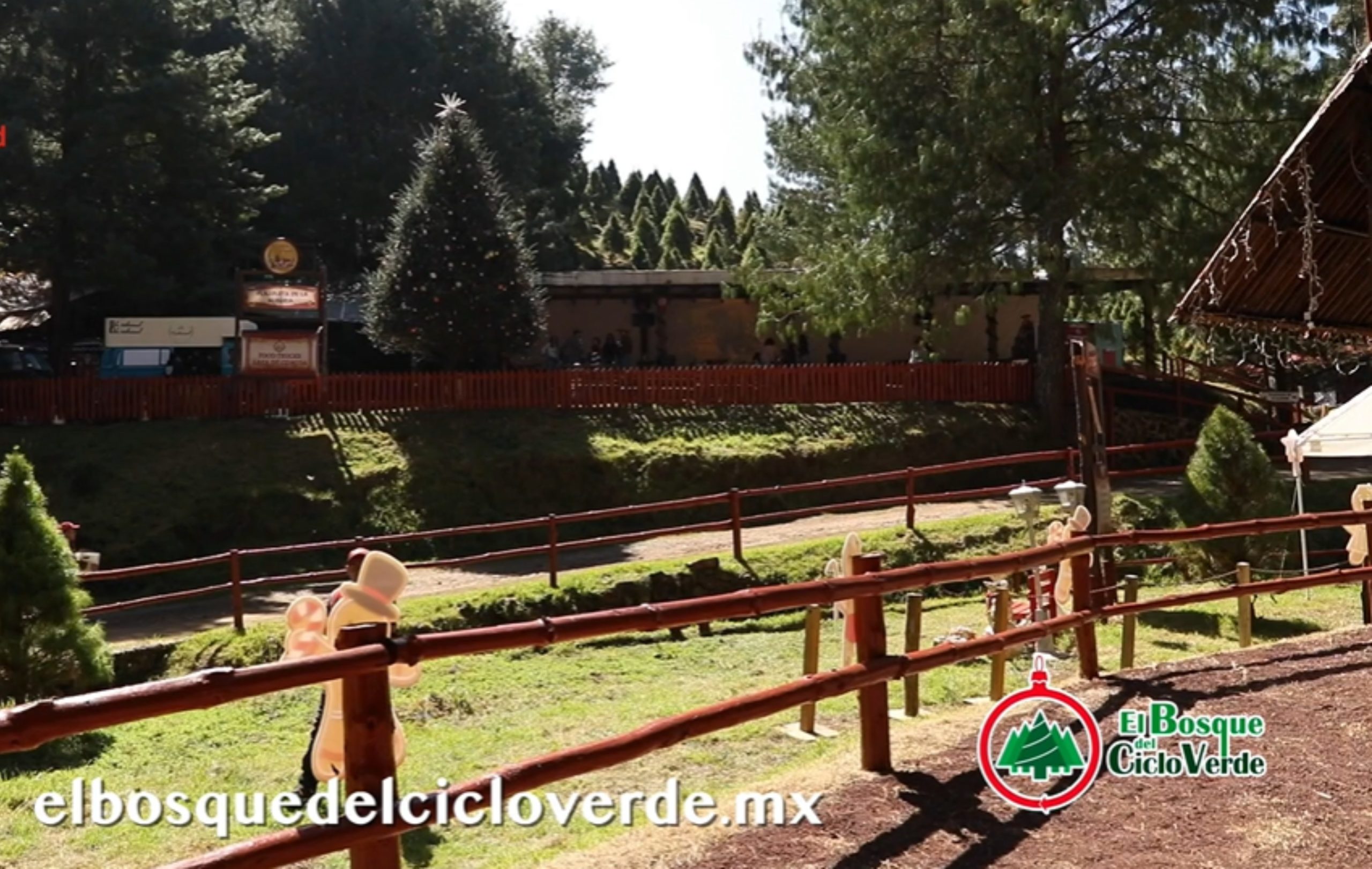 Navidad sustentable y experiencias mágicas en el Bosque del Ciclo Verde