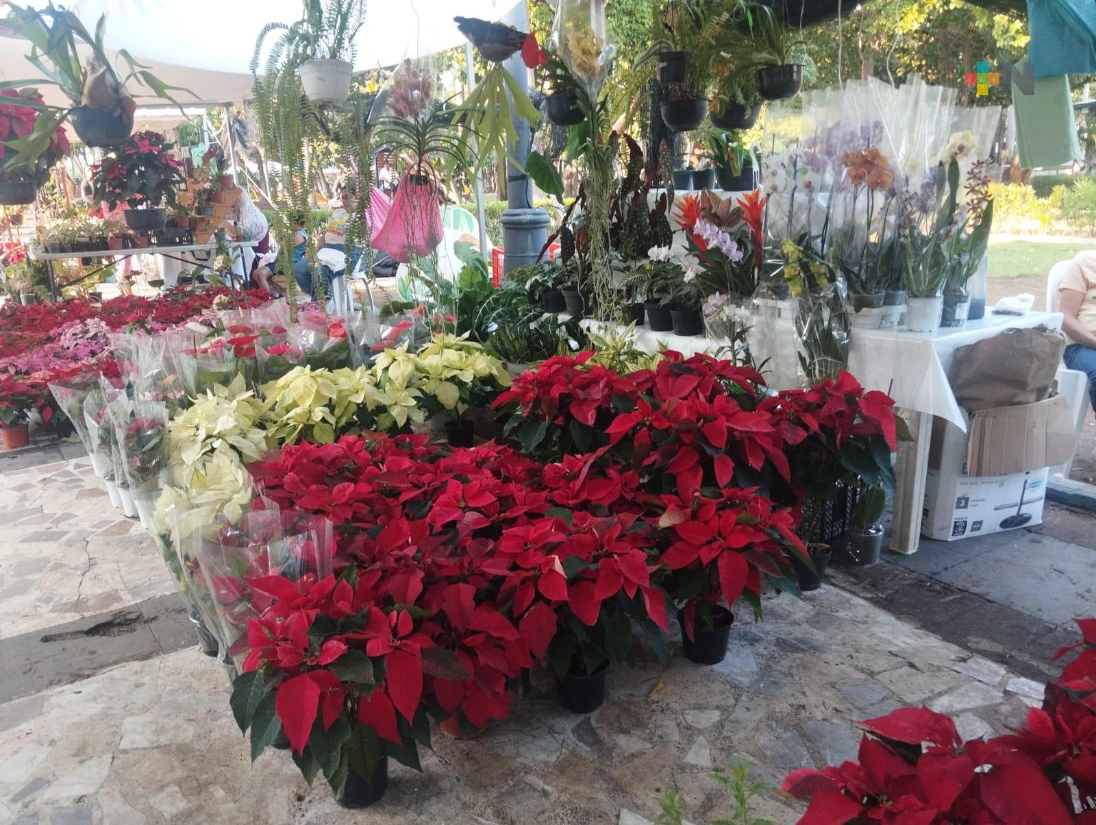 Expo Nochebuena en parque Zamora de Veracruz puerto