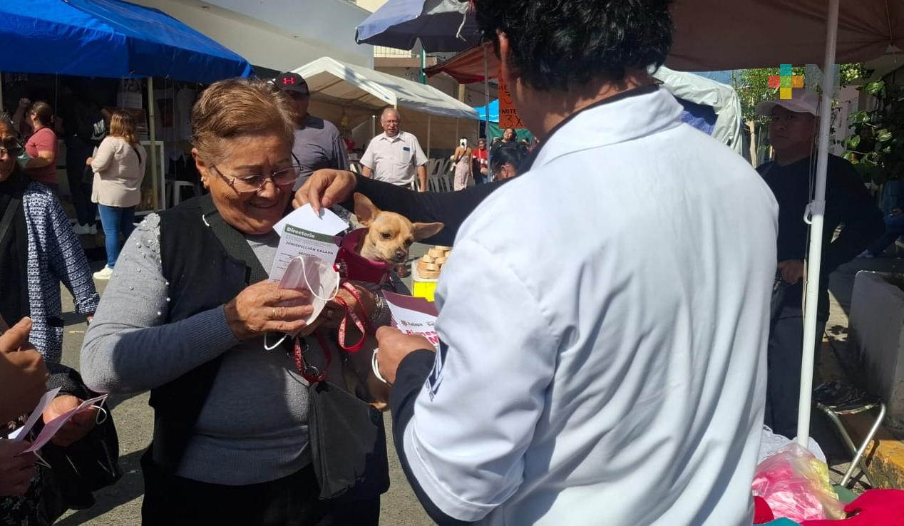 Autoridades exhortan a ciudadanía a no abandonar mascotas durante peregrinaciones