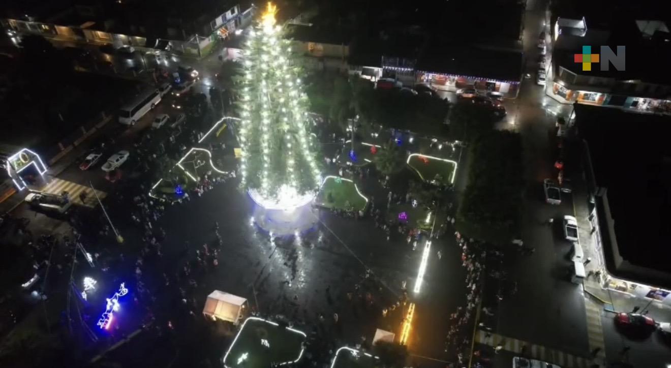 Atzacan enciende su Pino Histórico, símbolo vivo de identidad y memoria