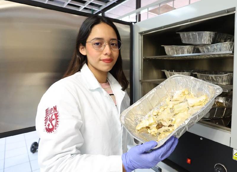 Investigadores del IPN avanzan para convertir desechos agroindustriales en platos degradables