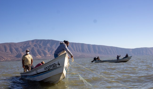 Invitan al sector pesquero y acuícola a capacitaciones gratuitas