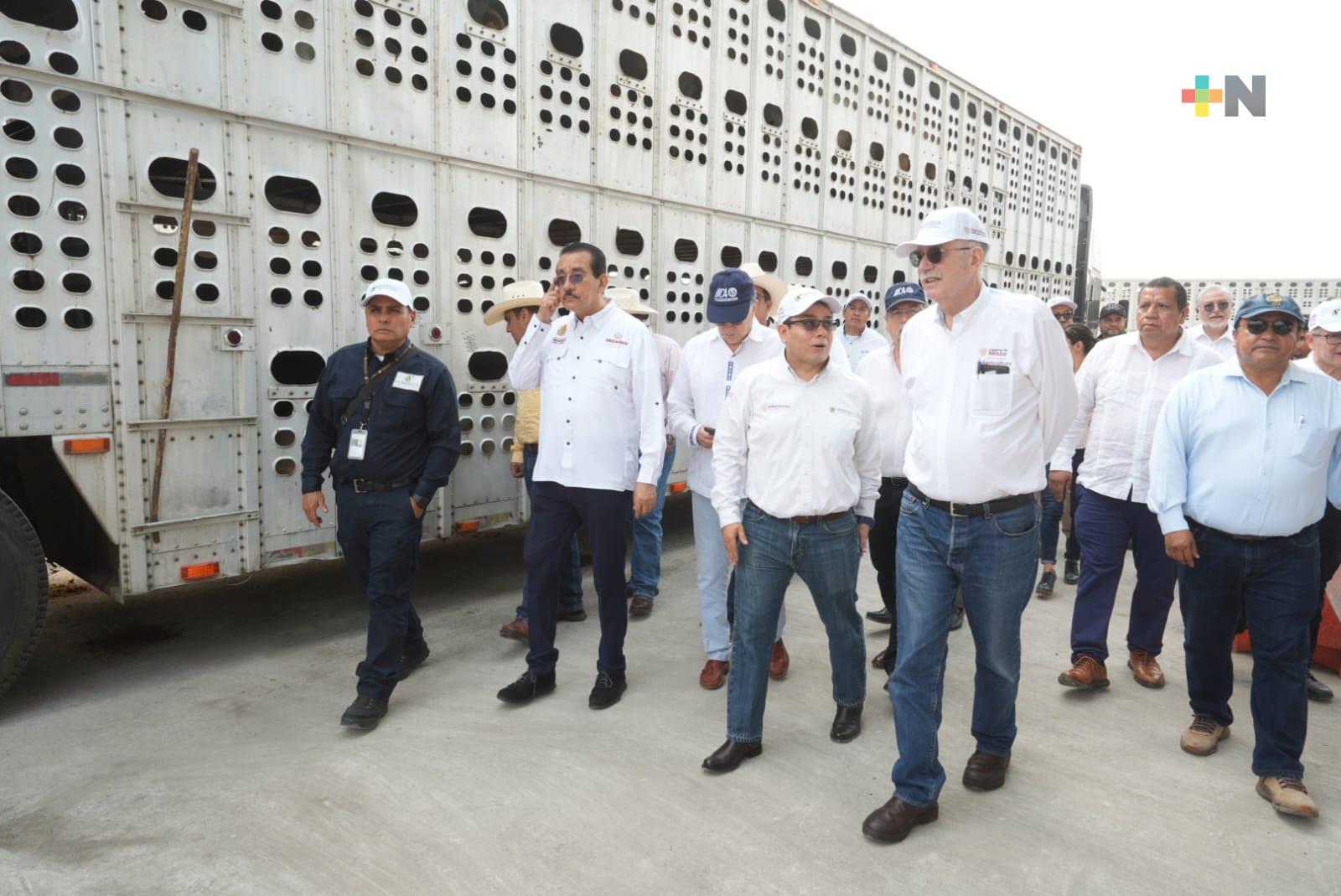 Modernizan Punto de Verificación e Inspección Federal Cosamaloapan para combatir gusano barrenador