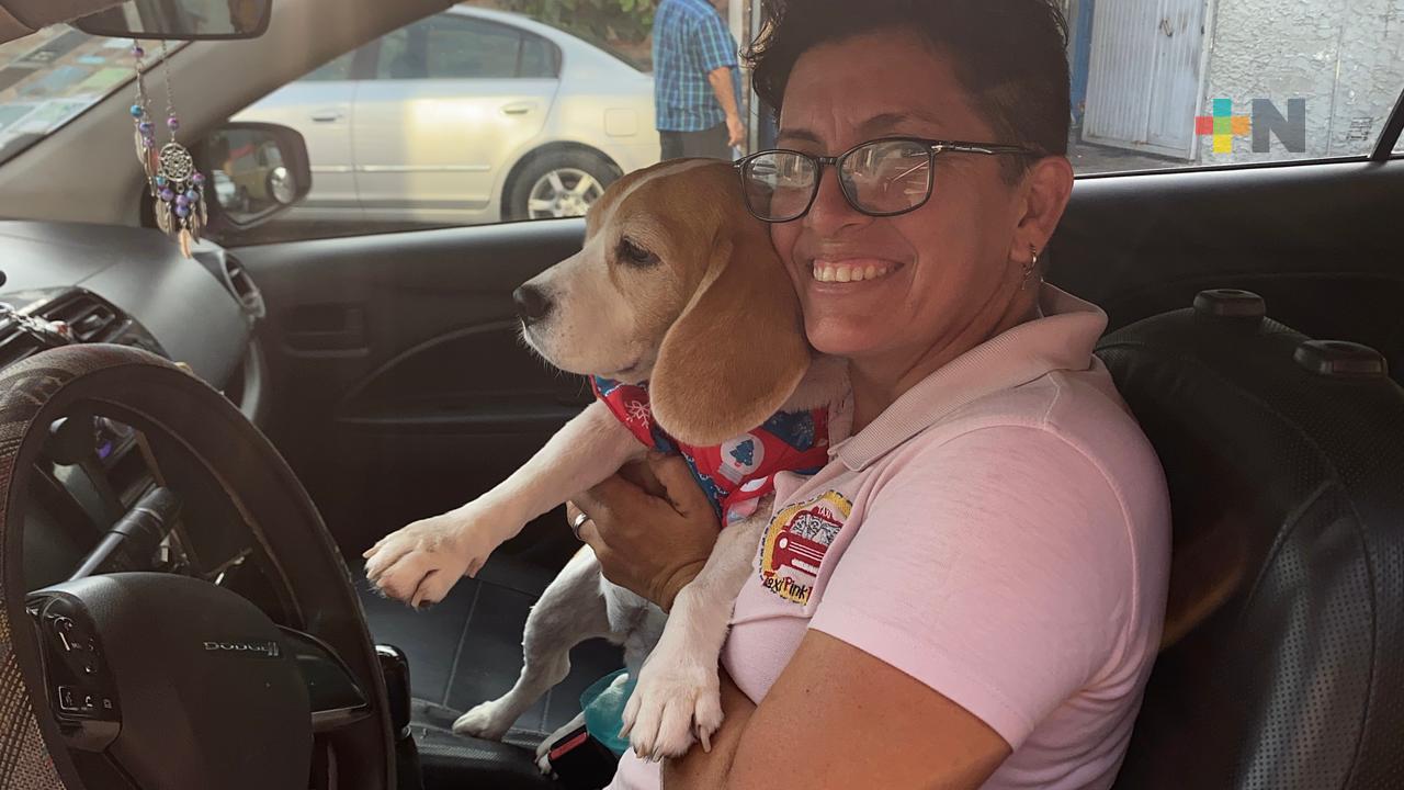 Taxi Pink Pet, una labor altruista a favor de los animales