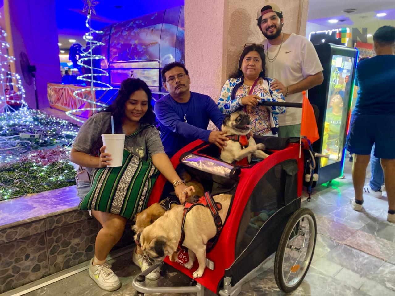 Turismo pet friendly crece en Veracruz
