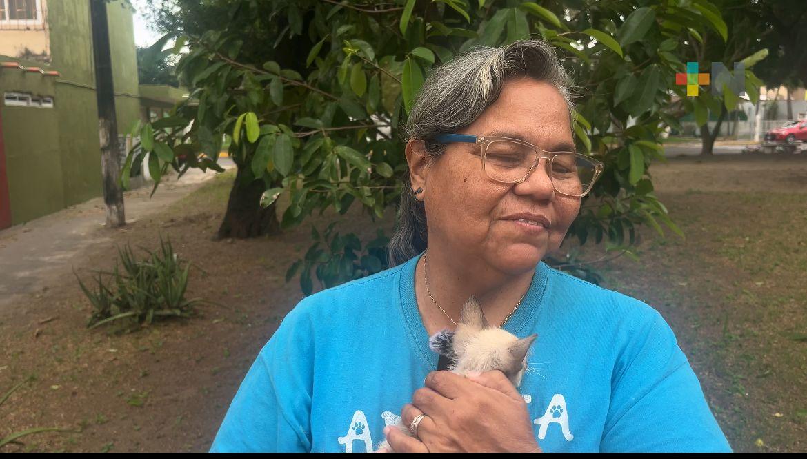 Pirotecnia provoca extravío de mascotas en fiestas decembrinas en Veracruz