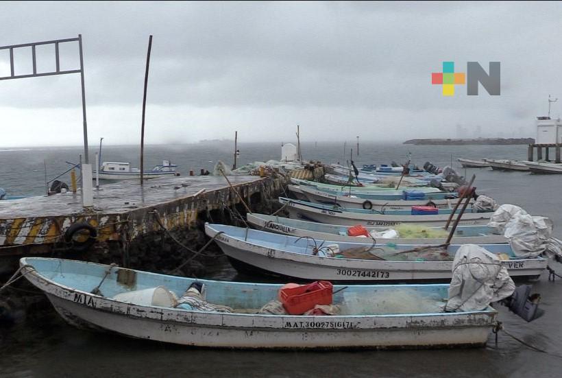 Norte detiene actividad pesquera en el puerto de Veracruz