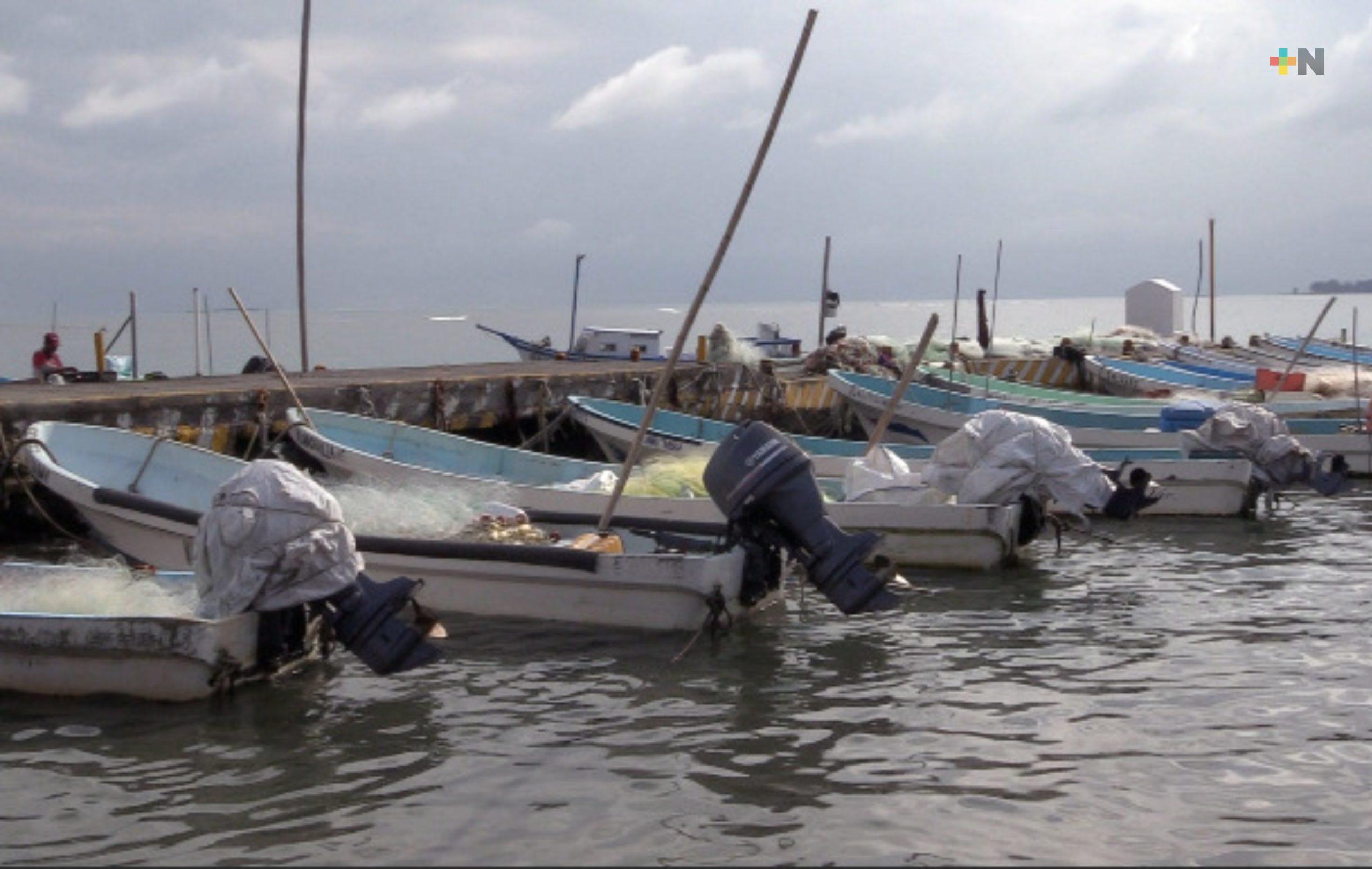 Temporada de frentes fríos sin afectaciones considerables a pescadores