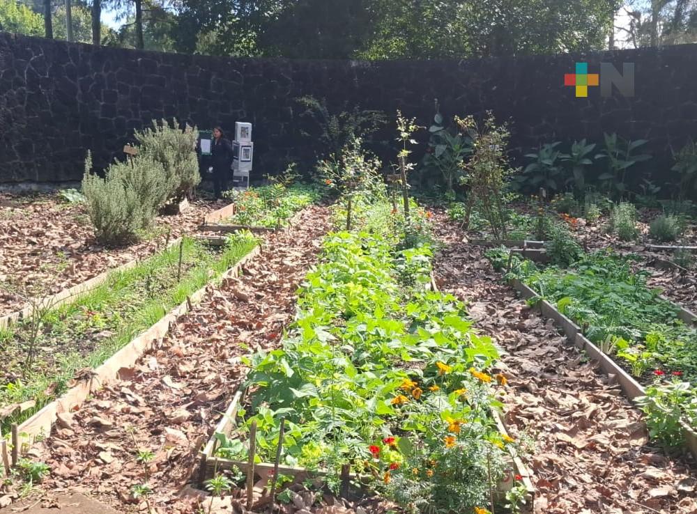Fomentan la agroecología en estudiantes de la Escuela Normal Veracruzana