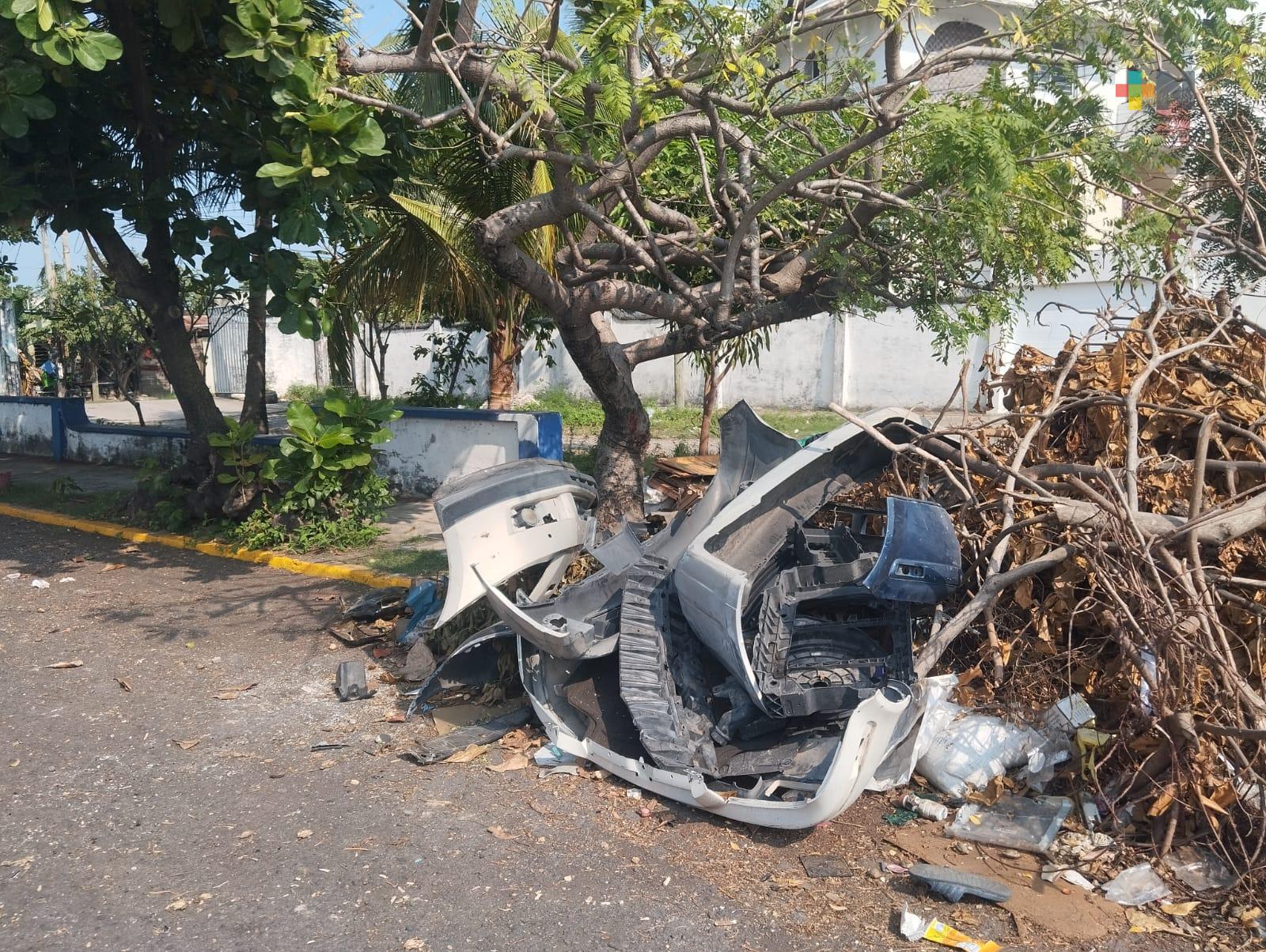 Utilizan área verde como basurero en avenida Jiménez de Veracruz puerto