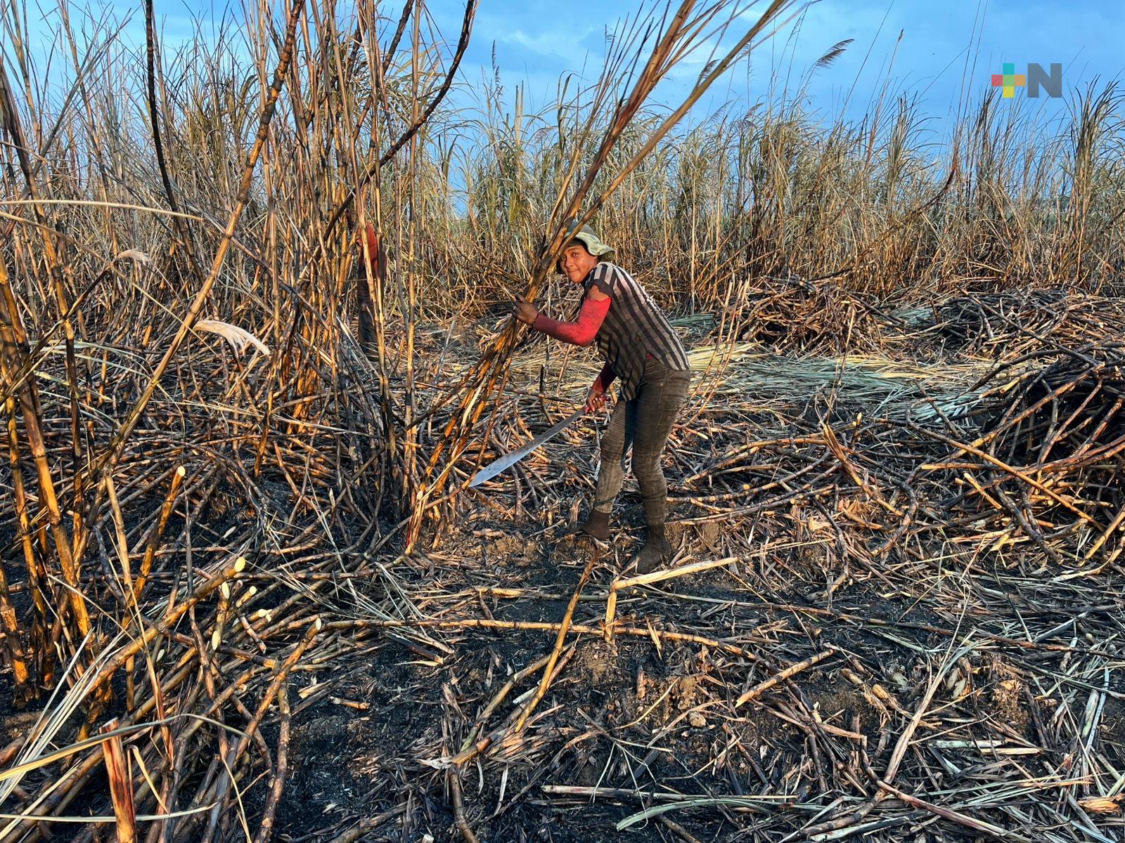 Industriales y cañeros dela Cuenca del Papaloapan acuerdan incentivos para mantener la producción