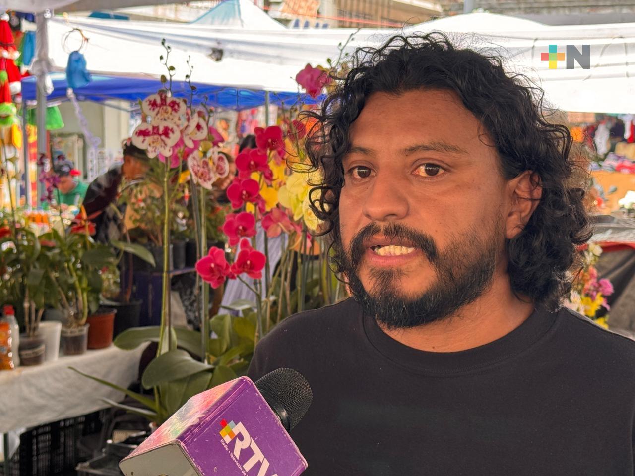 Cuidar plantas: bienestar, aprendizaje y pasión ornamental