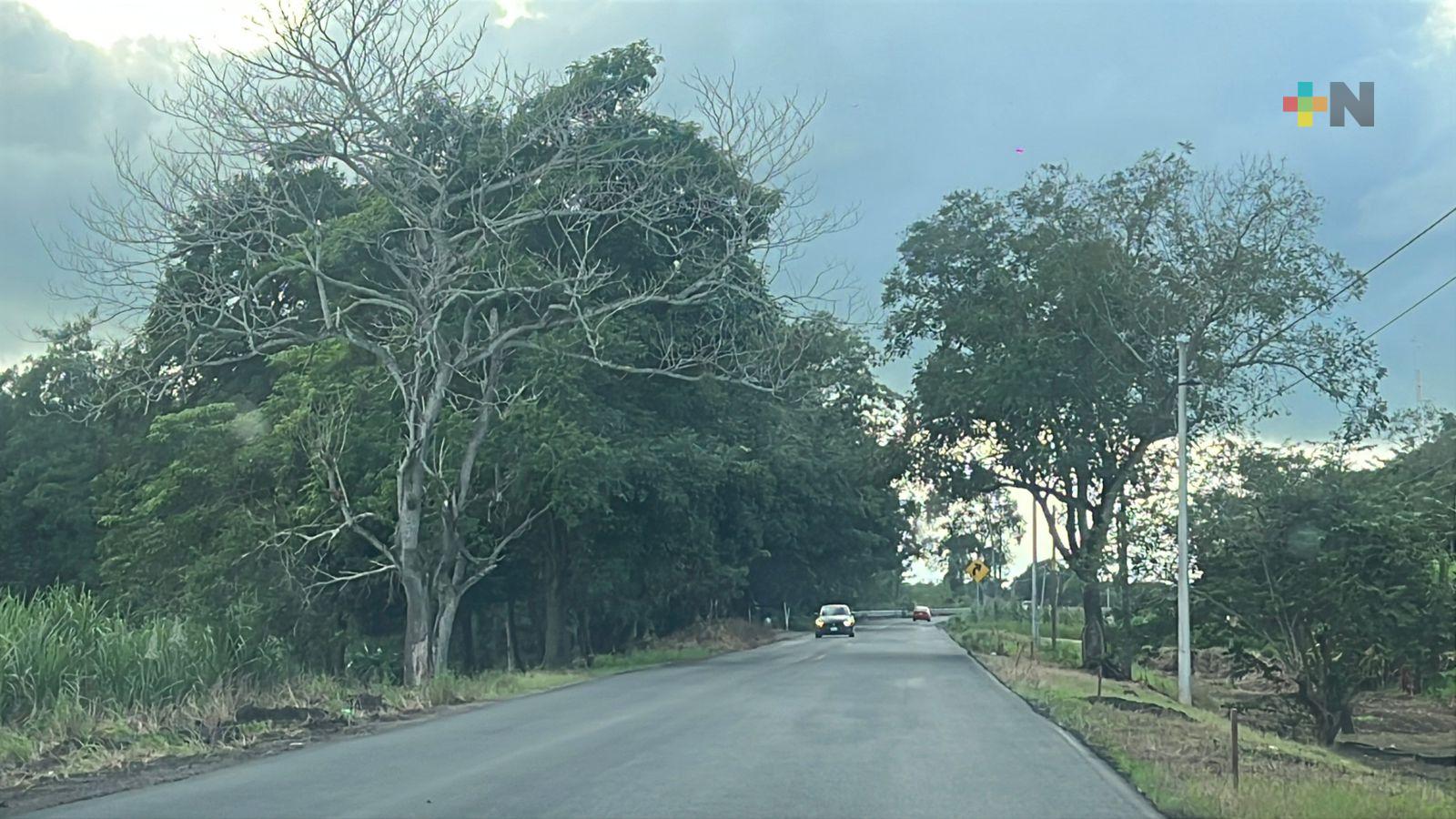 Rehabilitación de carreteras impulsa movilidad en el sur de Veracruz